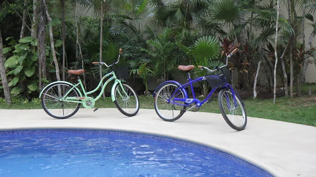 Departamento Paramar Daire Tulum 0*,